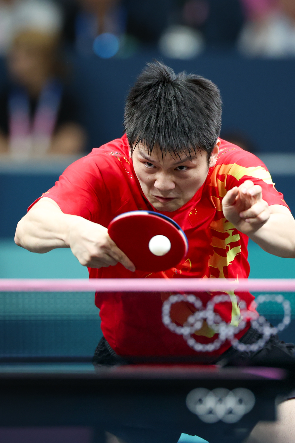 英国乒乓球队血洗波兰乒乓球队，樊振东高光表现的简单介绍