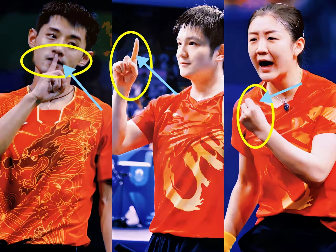 关于奥地利乒乓球队强势波兰乒乓球队，张继科制霸全场的信息