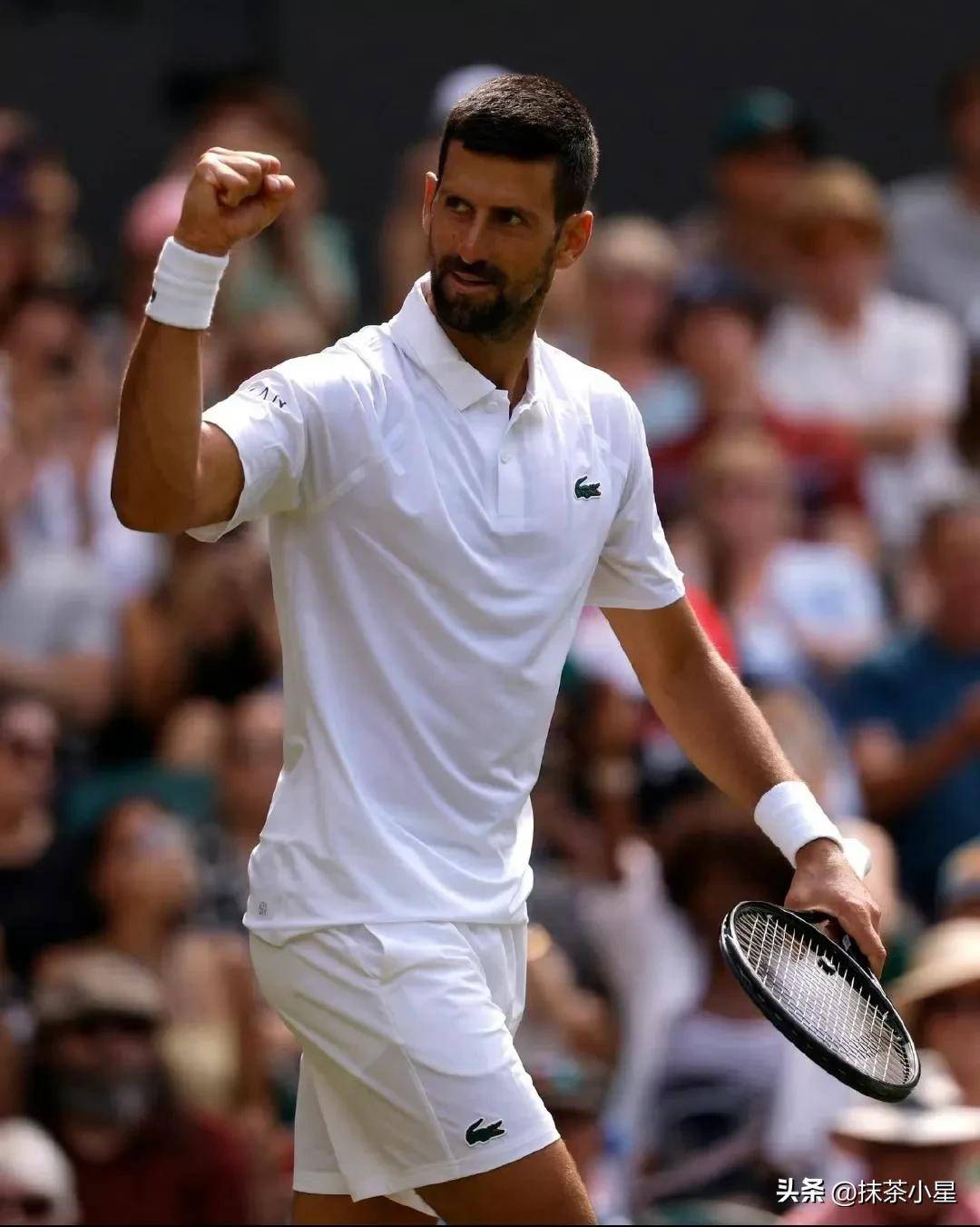 拉沃尔杯鏖战温网，德约科维奇统治全场的简单介绍
